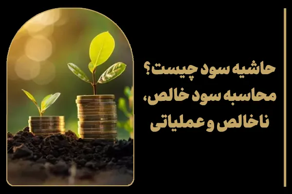 حاشیه سود چیست؟