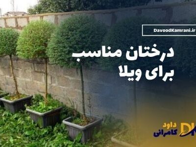 درختان مناسب برای ویلا